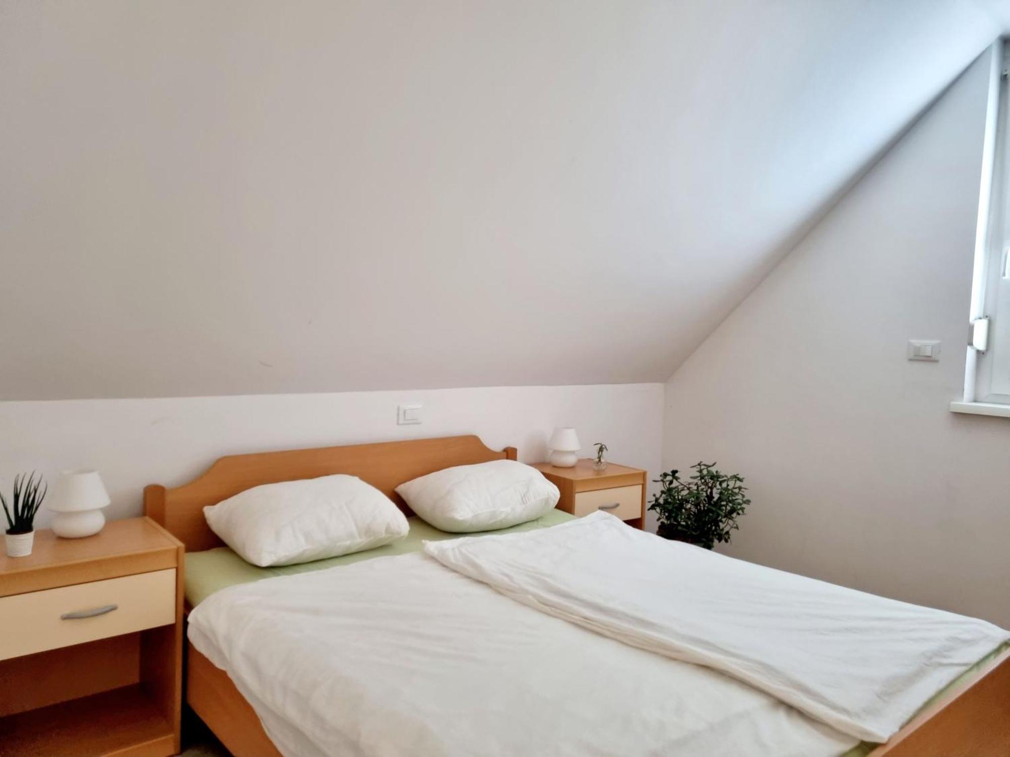 Apartmaji Pri Ticelnu Bovec Dış mekan fotoğraf